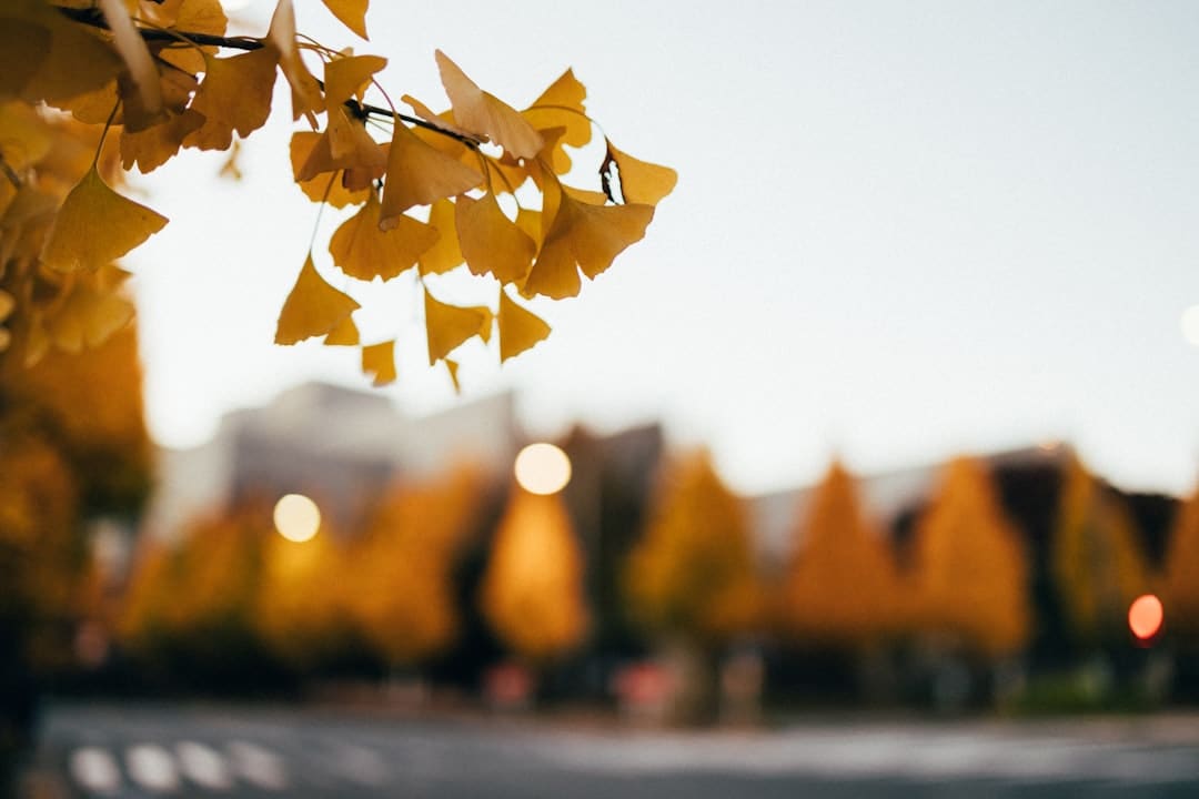 中元节是鬼节吗 中元节的来历和传说